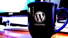Actualités Wordpress